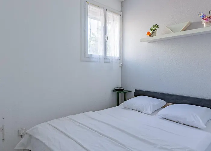 Palme D Or N 37 - 2p6c * Agde