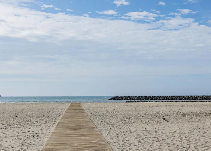 Palme D Or N 37 - 2p6c Apartamento *