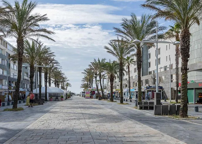 Palme D Or N 37 - 2p6c Apartamento Agde