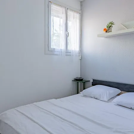 Palme D Or N 37 - 2p6c * Agde